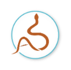 Logo: Initialen von Dr. Alexander Scheiblhofer in Form einer Schlange
